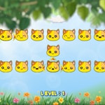 เกมส์ปริศนาแมวส้ม Cat Face